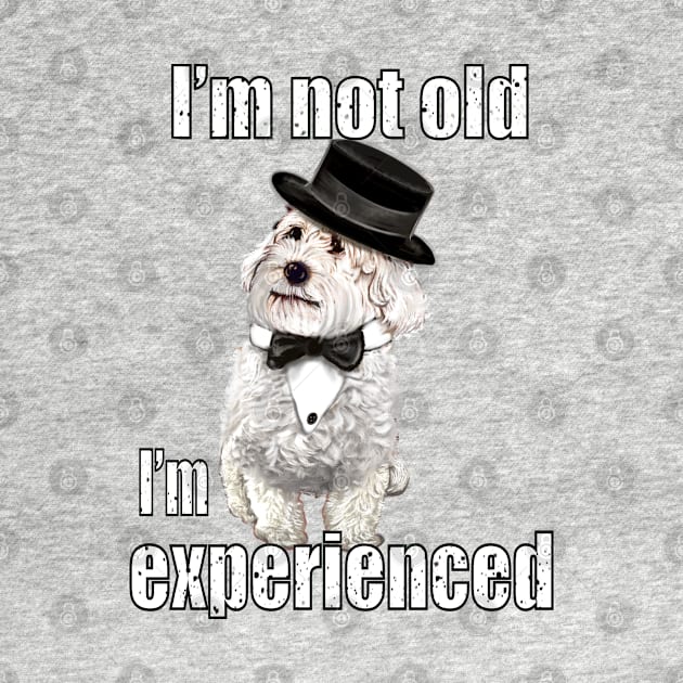 I’m not old I’m classic experienced funny humor getting older joke Cavapoo puppy dog by Artonmytee